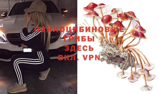 каннабис Карпинск