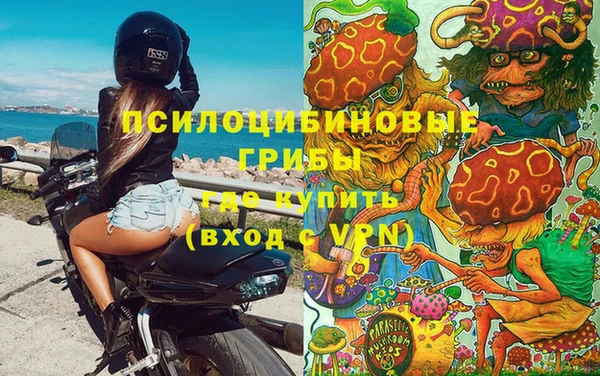 каннабис Карпинск